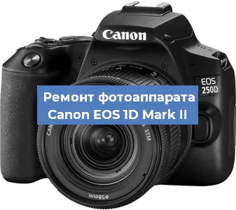 Замена аккумулятора на фотоаппарате Canon EOS 1D Mark II в Ижевске